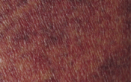 Ausstellungsfoto